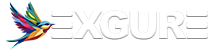 Exgure logo