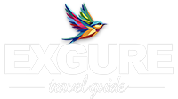 Exgure logo